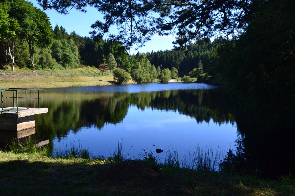 The Most Amazing&nbsp;Lunch